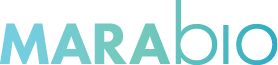 MARABIO Systems Inc. Logo